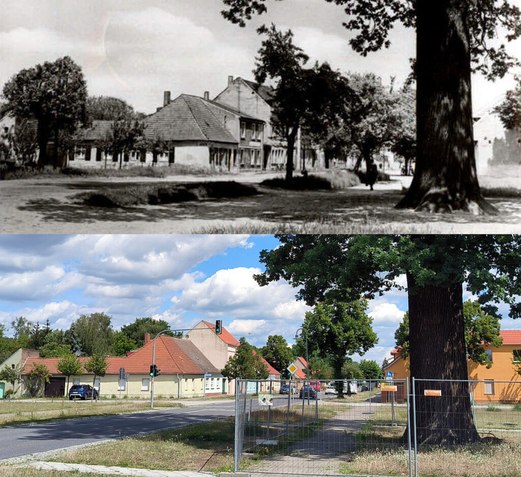 Das Foto zeigt den Blick aus der Ortsmitte an der Friedenseiche vorbei Richtung Berlin. Oben eine historische Aufnahme, darunter die heutige Ansicht.