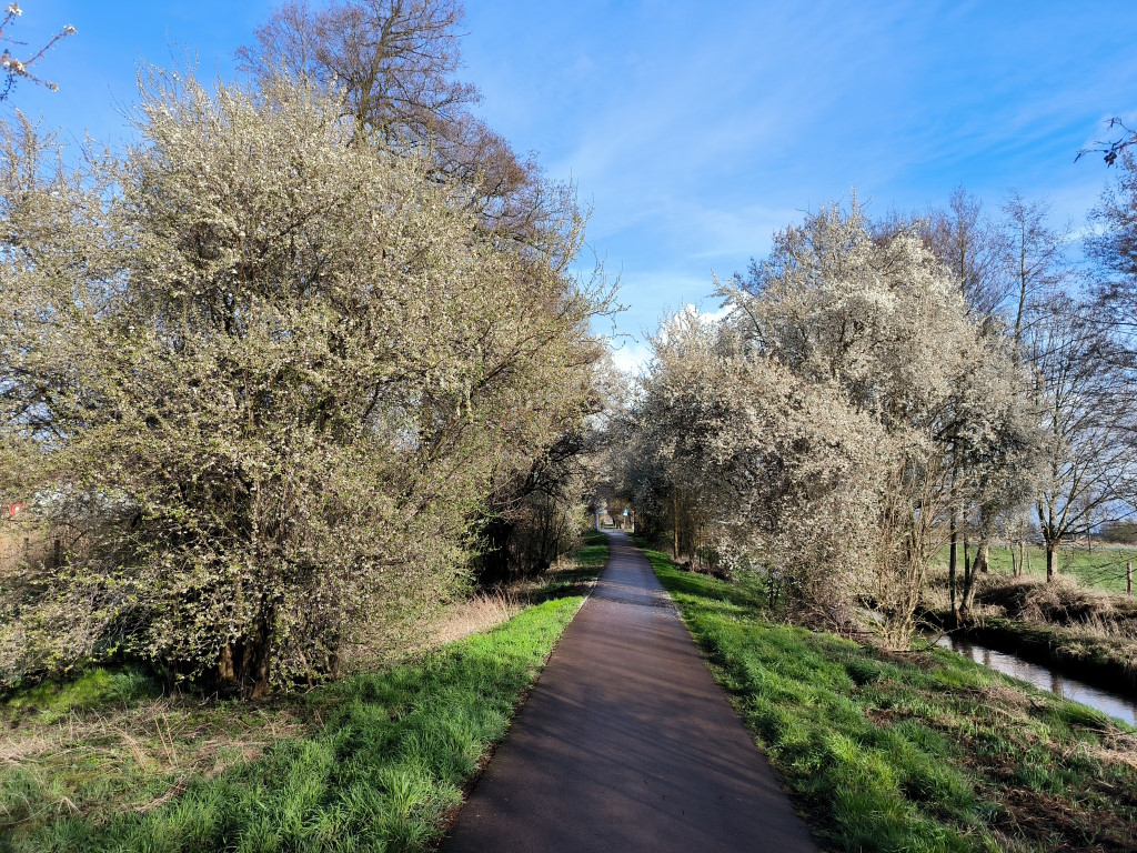 Der Fläming-Skate im Frühling mit vielen Blüten an den Bäumen.