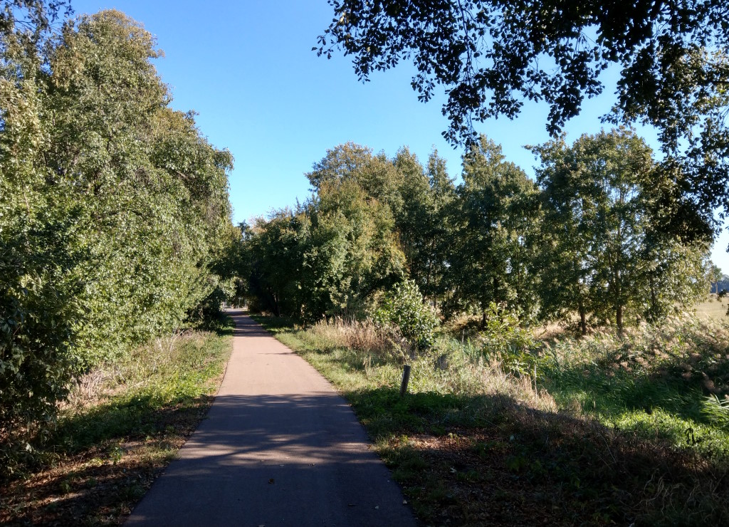 Der Fläming-Skate führt durch die Natur mit der Nuthe auf der einen Seite.